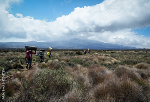 guides porters and sherpas carry heavy sacks as they ascend mount kilimanjaro the tallest peak in africa. photo