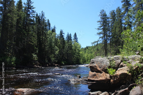 Obraz na plátně Rivière en forêt boréale lac saint-Jean Québec