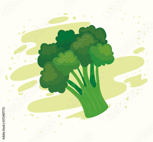 fresh broccoli vegetable, healthy food concept vector illustration design