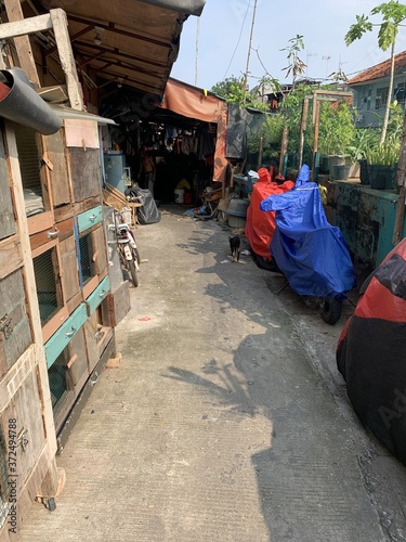Ruelle d'un bidonville à Jakarta, Indonésie 
