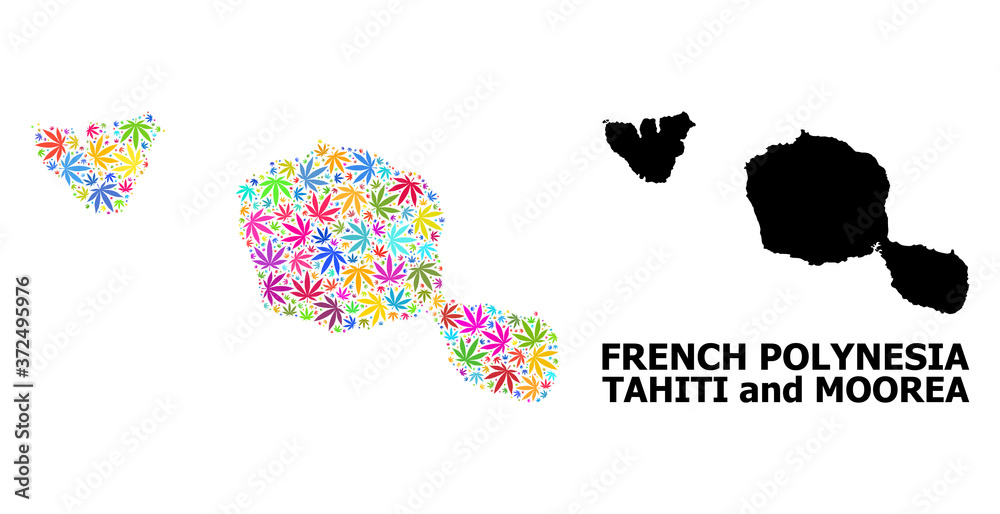 Vector Mosaic Map of Tahiti and Moorea Islands of Colorful Marijuana Leaves and Solid Map