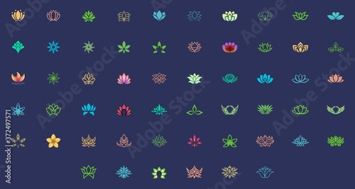 abstract flower design template set, suitable for a beauty business logo