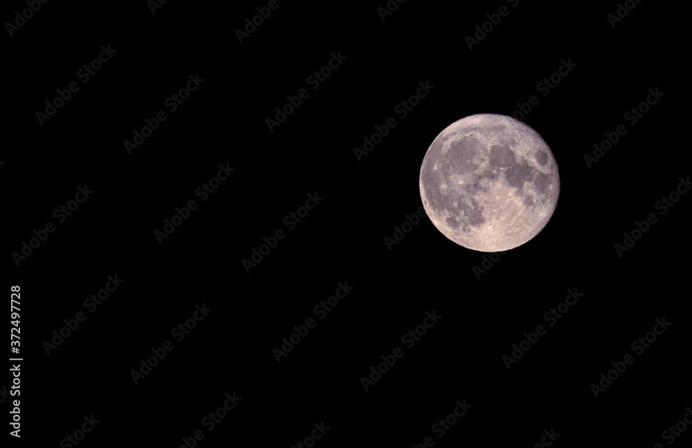 The beautiful full moon. for artwork. view from the Siberian taiga in August 2020 The beautiful full moon. for artwork. view from the Siberian taiga in August 2020