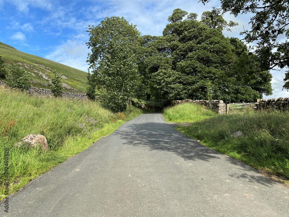 The road leading into Malham, with large trees, on the brow of the hill in, Malham, Skipton, UK