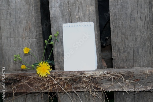 Wallpaper Mural 
Notepad on wooden boards Torontodigital.ca