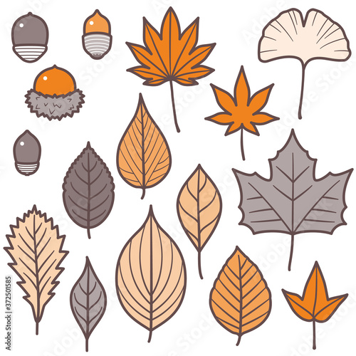 Autumn Leaves and Acorns Set   2 Colors