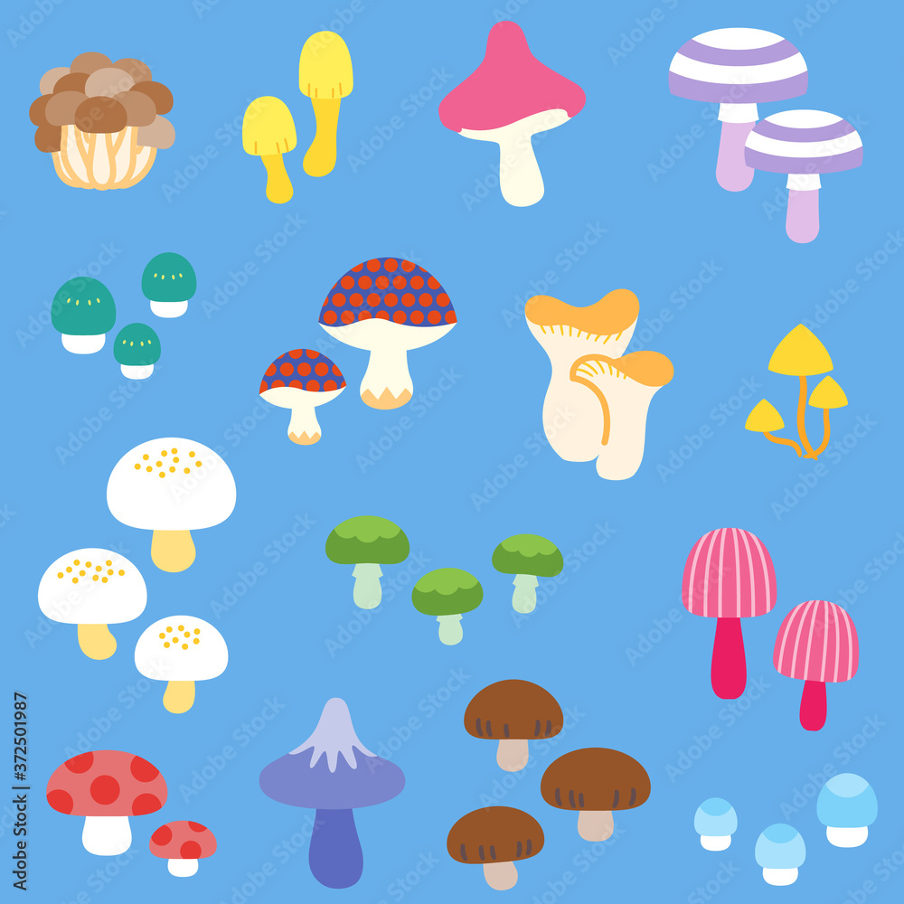 A variety of fancy mushrooms / No lines A variety of fancy mushrooms / No lines