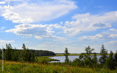Landscape photo of a summer green forest and a lake