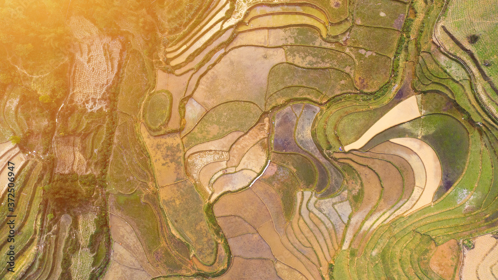 Aerial top view of paddy rice terraces, green agricultural fields in countryside or rice field terraces in Sapa, Lao Cai Province, North West Vietnam in Asia. Nature landscape background.