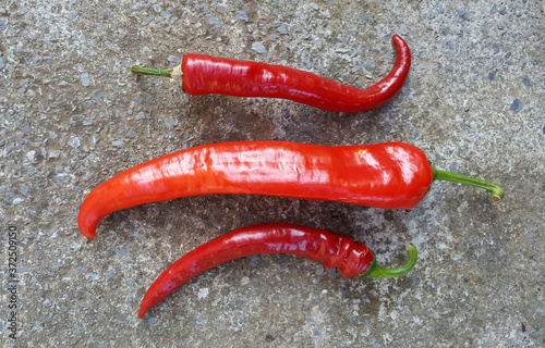 fresh harvested homegrown organic paprika on cement background