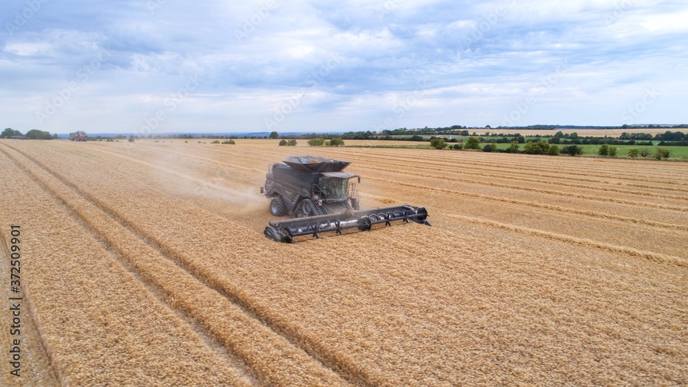 Obraz premium Harvest Photograph