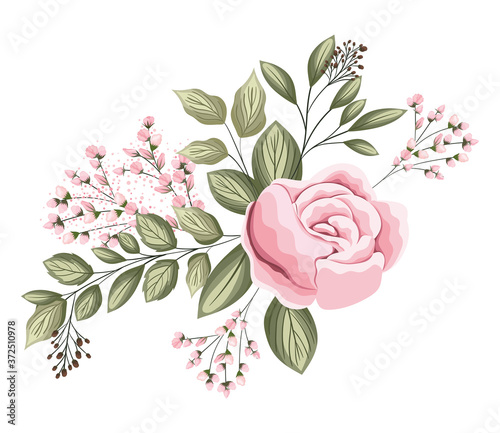 pink rose flower with buds and leaves painting design, natural floral nature plant ornament garden decoration and botany theme Vector illustration