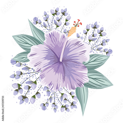 purple hawaiian flower with buds and leaves painting design, natural floral nature plant ornament garden decoration and botany theme Vector illustration