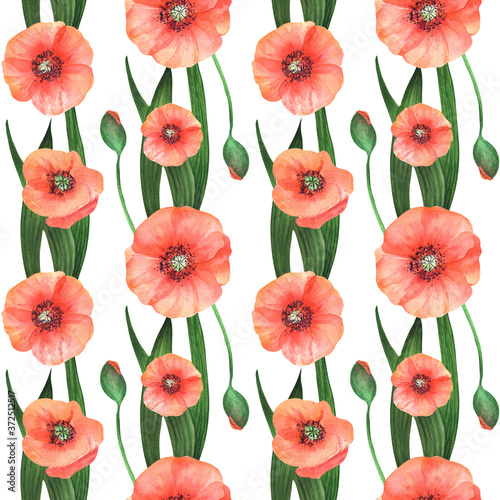 Watercolor flowers red poppy seamless pattern. Hand drawn floral seamless pattern on white.