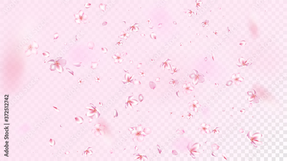 Nice Sakura Blossom Isolated Vector. Magic Flying 3d Petals Wedding Paper. Japanese Funky Flowers Wallpaper. Valentine, Mother's Day Summer Nice Sakura Blossom Isolated on Rose Nice Sakura Blossom Isolated Vector. Magic Flying 3d Petals Wedding Paper. Japanese Funky Flowers Wallpaper. Valentine, Mother's Day Summer Nice Sakura Blossom Isolated on Rose