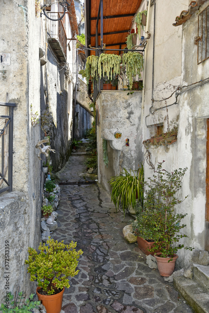 A narrow street among the old houses of Orsomarso, a rural village in the Calabria region.