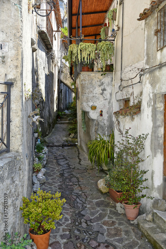 Fototapeta Naklejka Na Ścianę i Meble -  A narrow street among the old houses of Orsomarso, a rural village in the Calabria region.