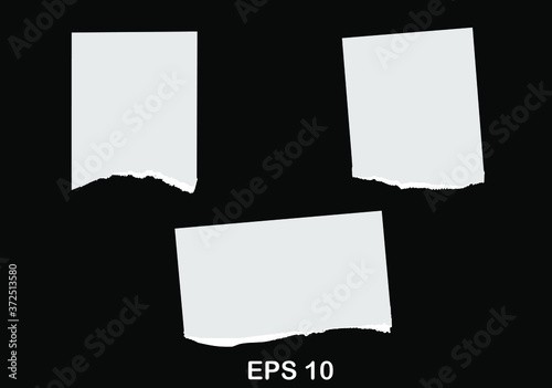 Paper different scraps set ripped page piece. Torn note paper page. Ripped note notebook grainy paper strips stuck. EPS 10