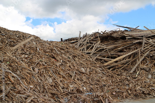 Wood chips, a lot of wood waste