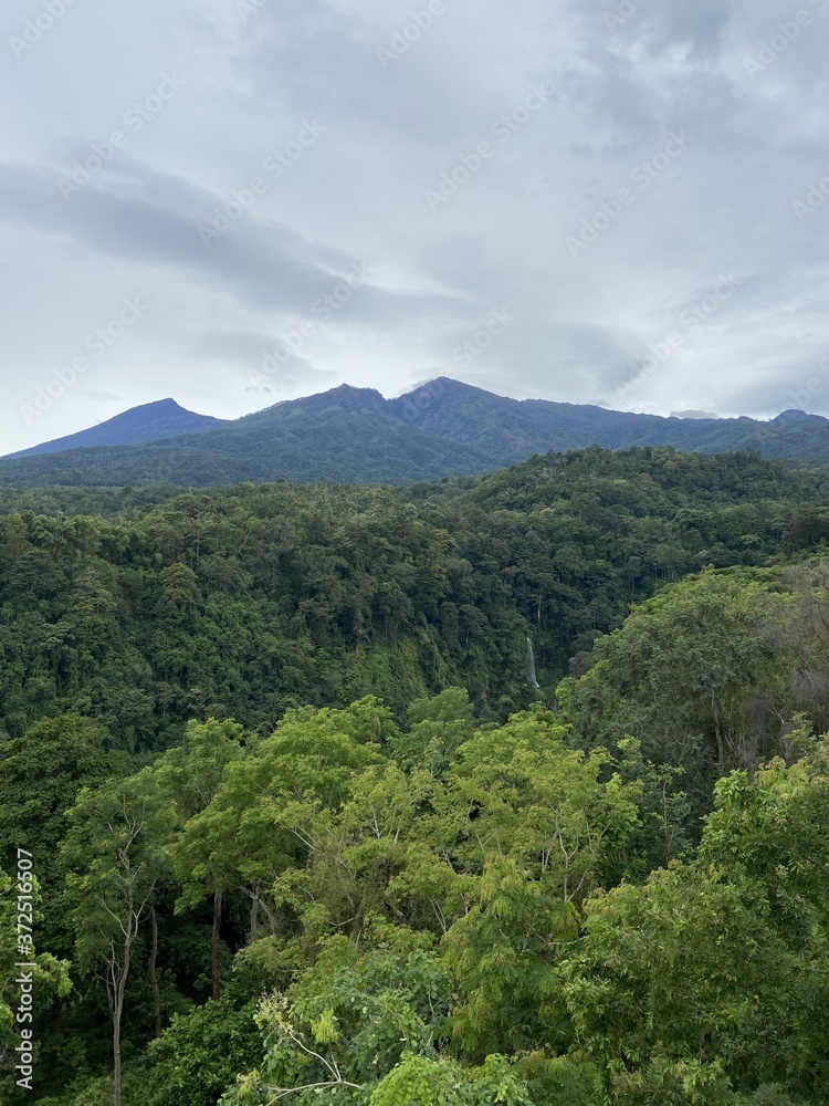 Jungle et montagne à Lombok, Indonésie