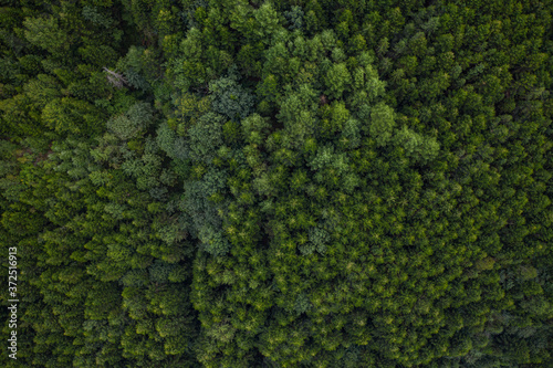 Skole Beskids National Nature Park. Closeup view from drone on forest, mountain. Wallpaper, texture, background © Ruslan