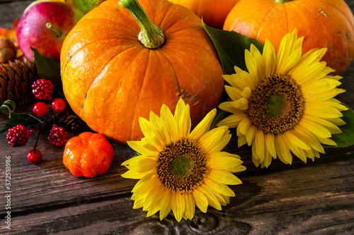 Autumn Background, Thanksgiving table. Pumpkins, sunflowers, apples and fallen leaves.