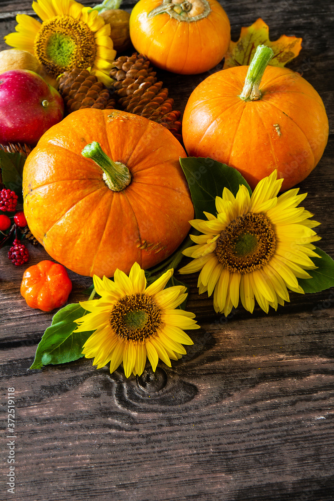 Autumn Background, Thanksgiving table. Pumpkins, sunflowers, apples and fallen leaves. Copy space. Autumn Background, Thanksgiving table. Pumpkins, sunflowers, apples and fallen leaves. Copy space.