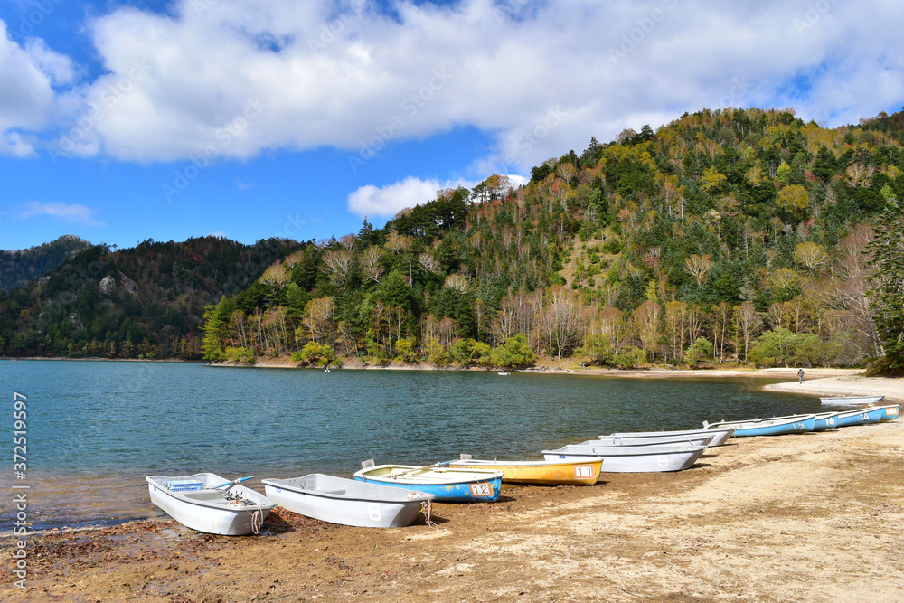 Fototapeta premium 秋の菅沼 紅葉