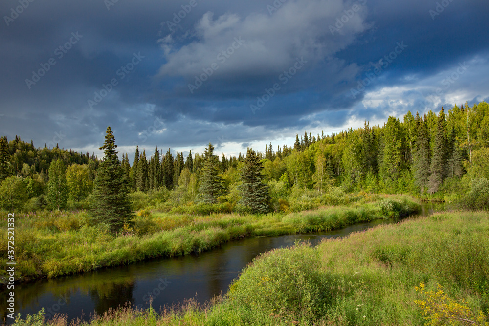 A creek meanders through a small meadow along Petersville Road, west of Talkeetna, AK.