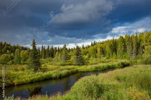 A creek meanders through a small meadow along Petersville Road, west of Talkeetna, AK.