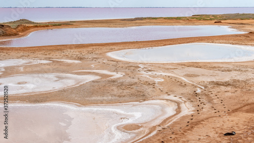 Obraz na plátně Pink lake made of salt, landscape sea salt, created from microscopic unicellular