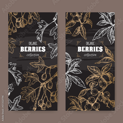 Two labels with Hawthorn aka Crataegus and Blackthorn aka Prunus spinosa branch sketch on black. Berry fruits series.