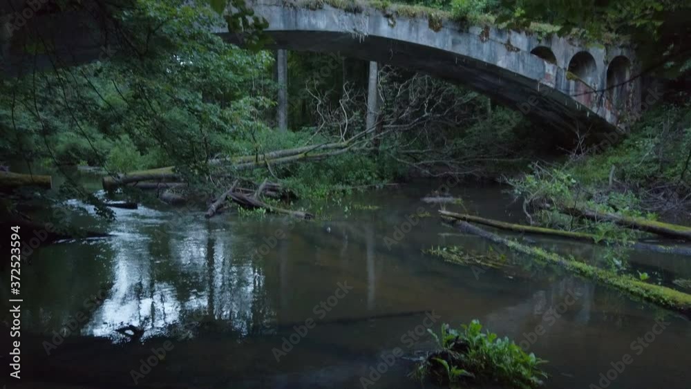 Brook under old bridge in forest Brook under old bridge in forest