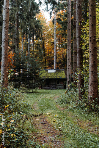 Hut in Autumn Forest
