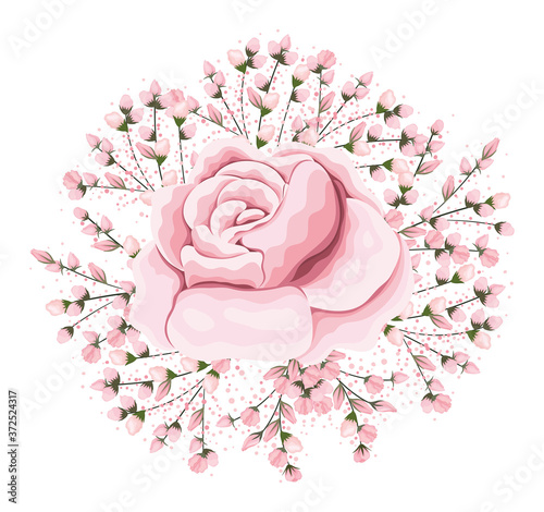 buds around pink rose flower painting design, natural floral nature plant ornament garden decoration and botany theme Vector illustration