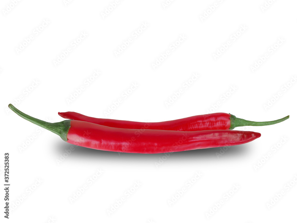Chilli on a white background Chilli on a white background
