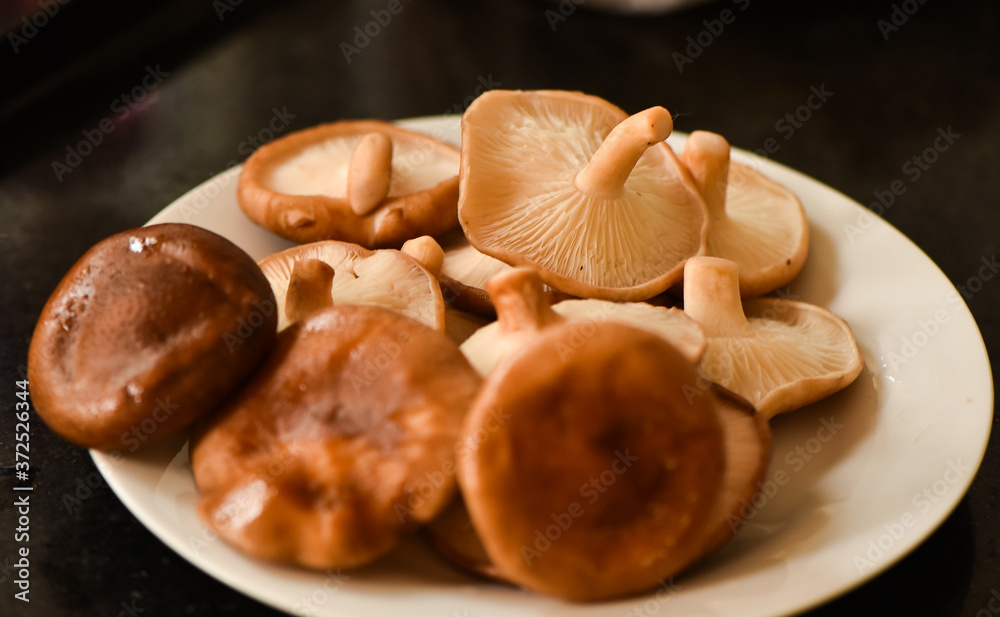 Ingrediente receita cogumelos shitake shimeji Stock Photo