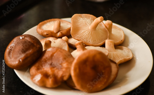 Ingrediente receita cogumelos shitake shimeji 