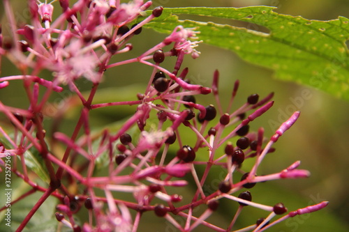 Colors of Costa Rica