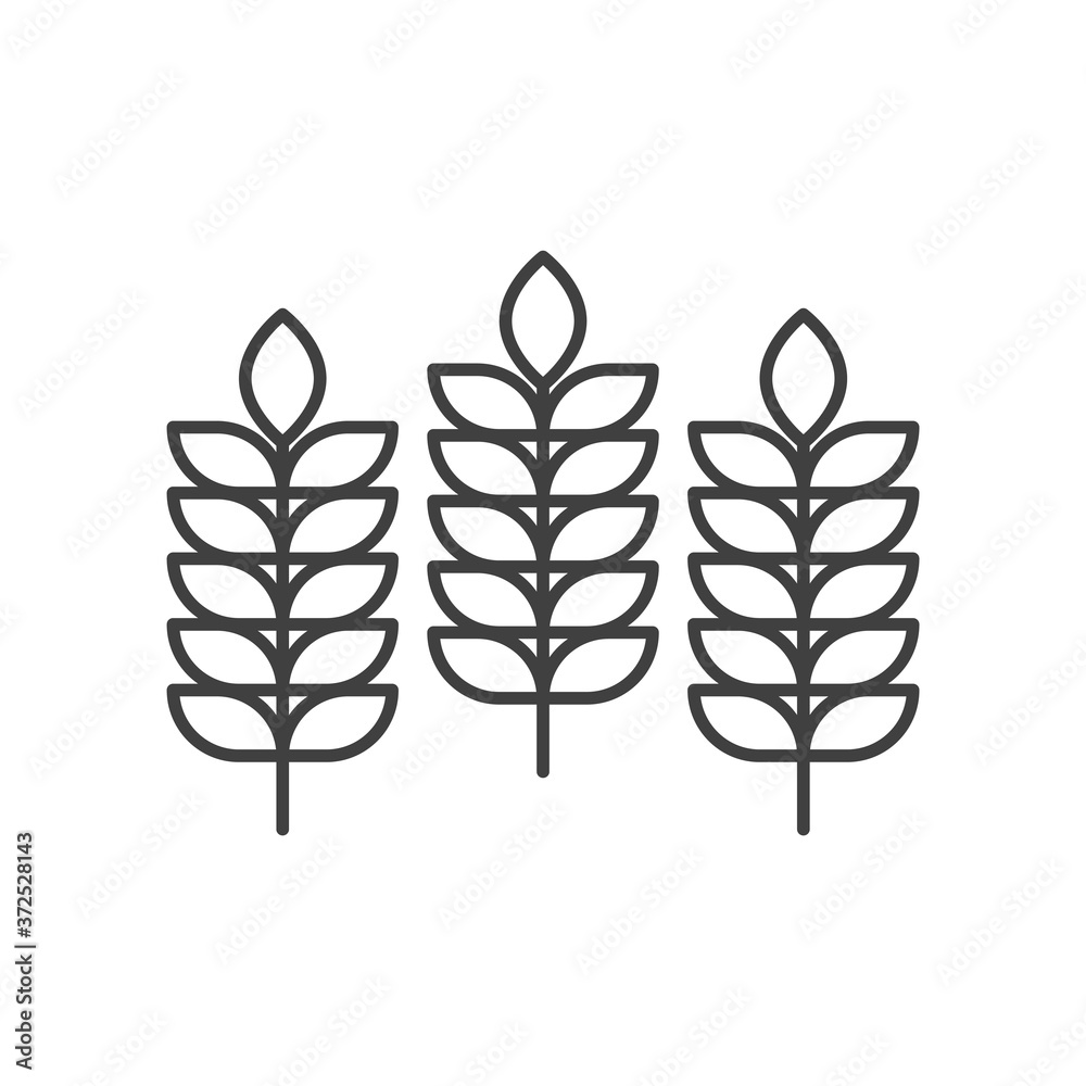 Three spikelets icon. A simple linear image of wheat ears. Isolated vector on a pure white background.