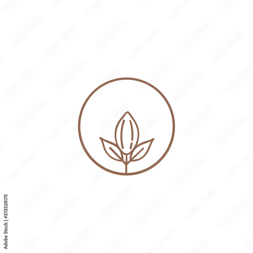 Beauty design element. Floral design. Emblem design on white background Beauty design element. Floral design. Emblem design on white background
