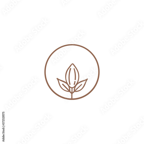 Beauty design element. Floral design. Emblem design on white background