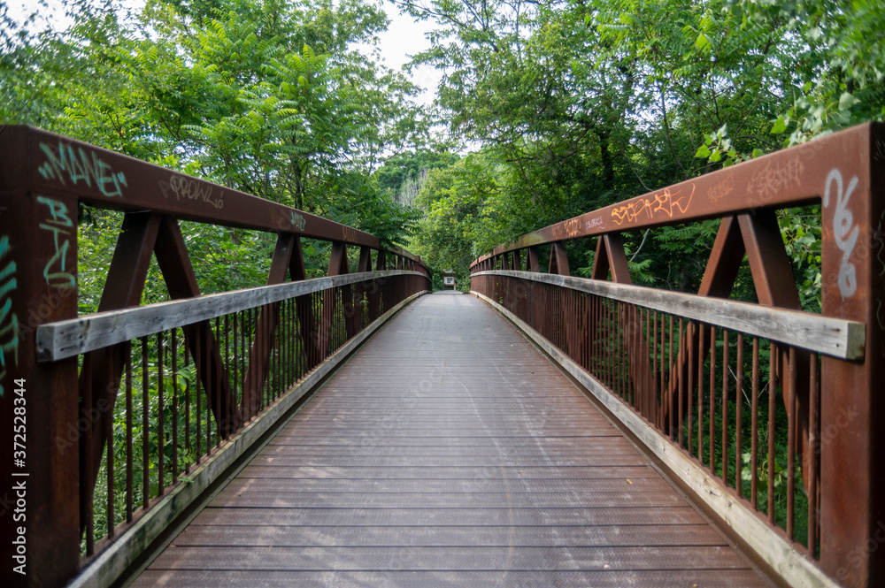 Path in the forest, Toronto