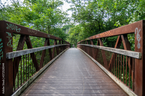 Path in the forest, Toronto