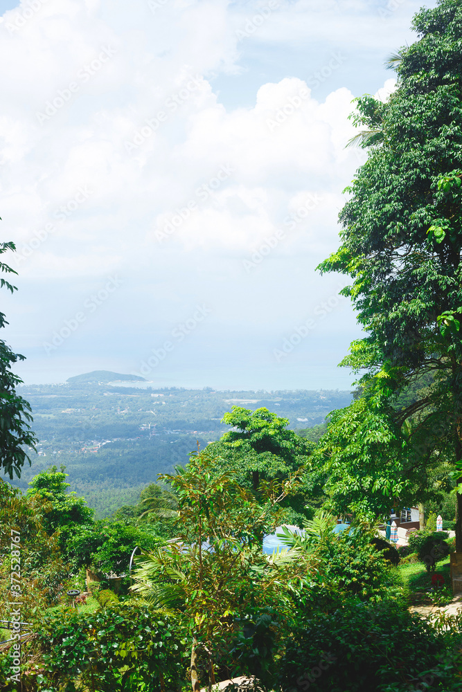 sea and mountain views among tropical greenery