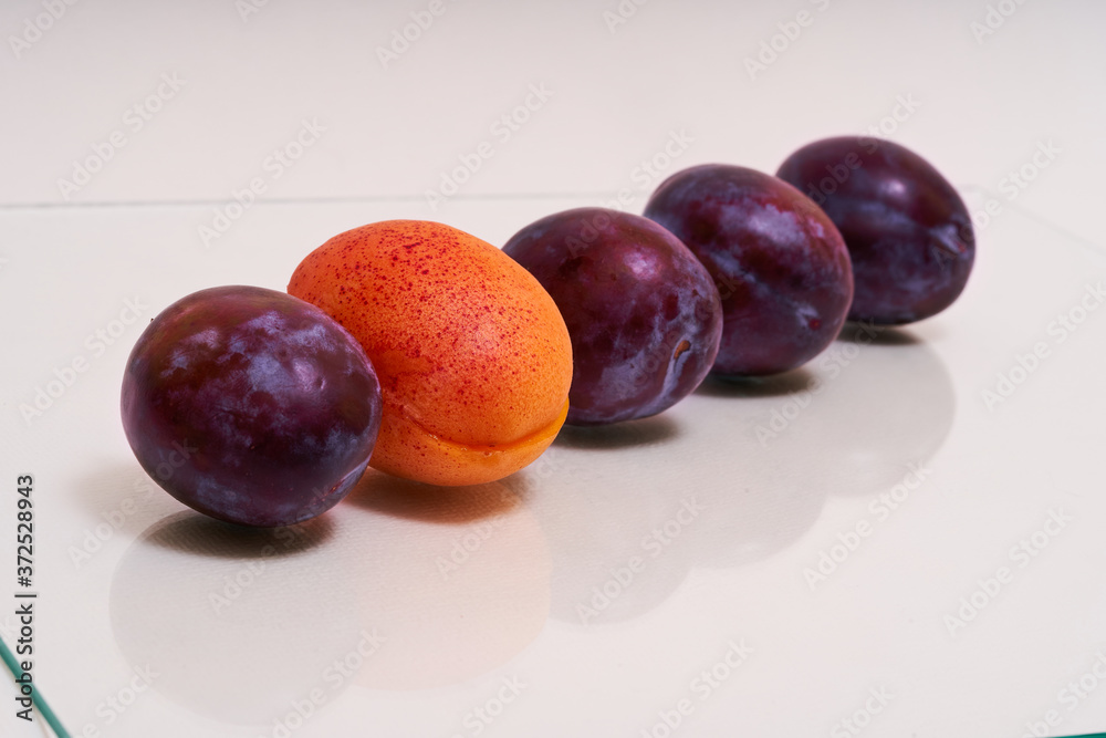 Several plums in the line and one apricot inside the row on white background Several plums in the line and one apricot inside the row on white background