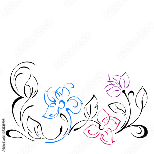ornament 1269. decorative element with stylized flowers  leaves and swirls in colored lines on a white background