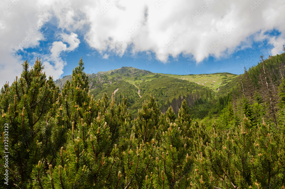 Hohe Tatra