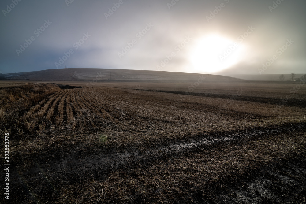 Obraz premium Palouse Fields with Fog in Winter, WA