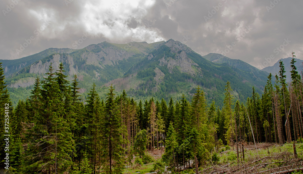 Obraz premium Hohe Tatra